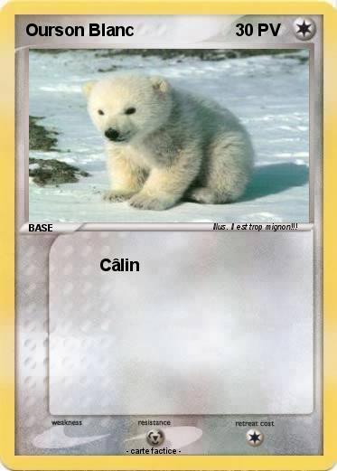 Pokemon Ourson Blanc