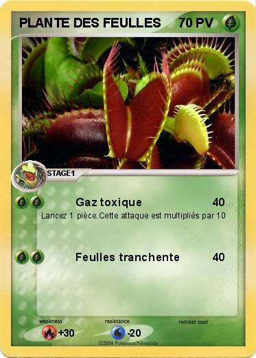 Pokemon PLANTE DES FEULLES