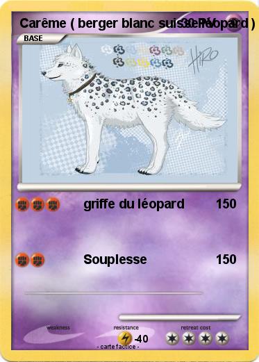 Pokemon Carême ( berger blanc suisse léopard )