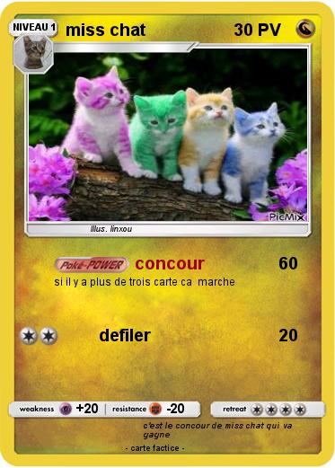 Pokemon miss chat