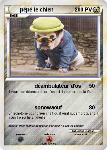 Pokemon pépé le chien