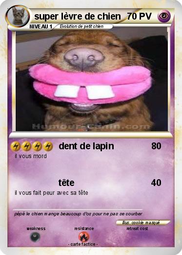 Pokemon super lèvre de chien