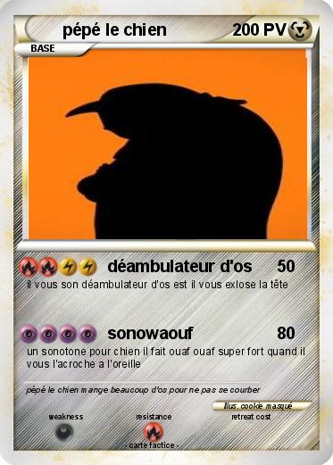 Pokemon pépé le chien