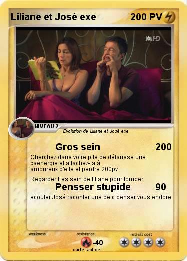 Pokemon Liliane et José exe