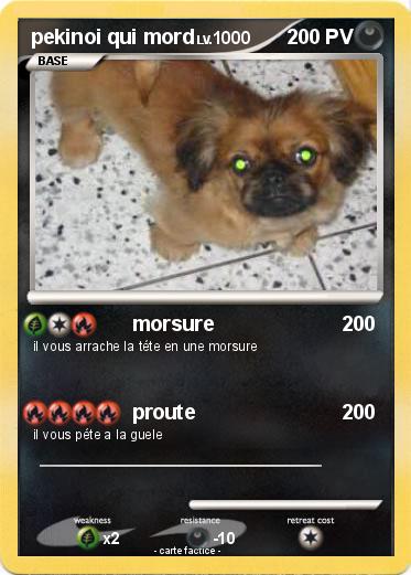 Pokemon pekinoi qui mord