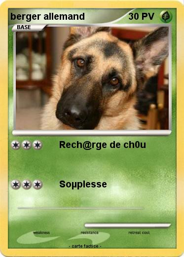 Pokemon berger allemand