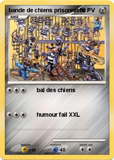 Pokemon bande de chiens prisonniers