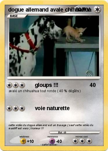 Pokemon dogue allemand avale chihuahua