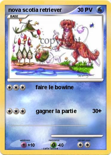 Pokemon nova scotia retriever
