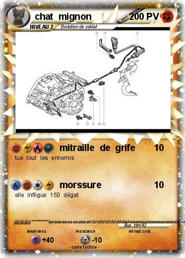 Pokemon chat  mignon