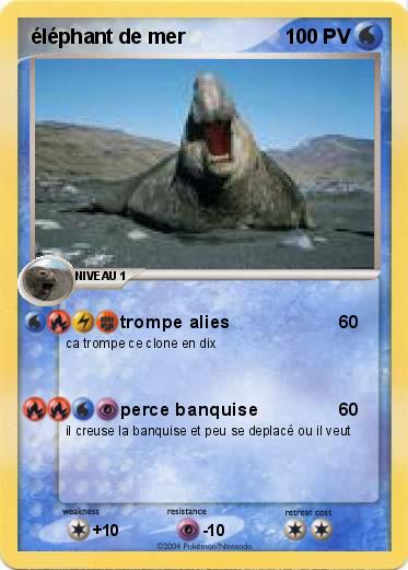 Pokemon éléphant de mer