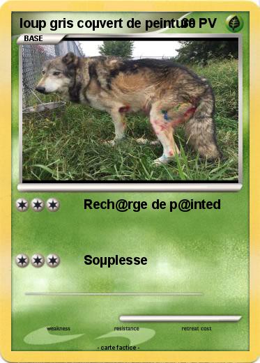 Pokemon loup gris coµvert de peinture