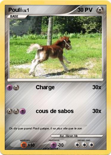 Pokemon Pouli