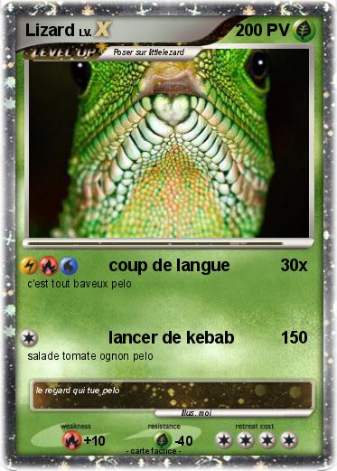 Pokemon Lizard