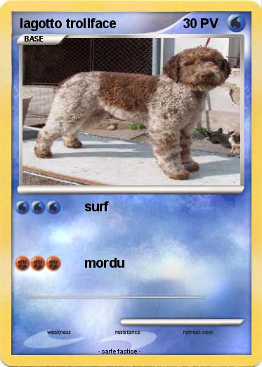 Pokemon lagotto trollface