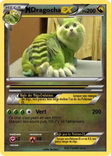 Pokemon Dragocha