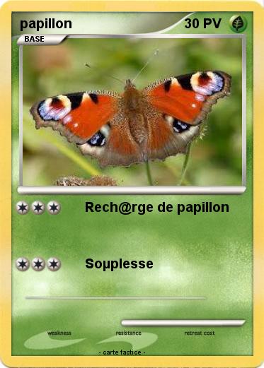 Pokemon papillon