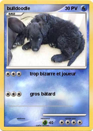 Pokemon bulldoodle