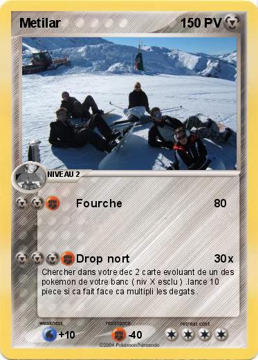 Pokemon Metilar