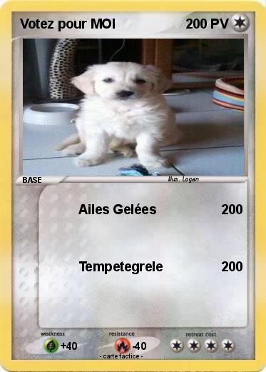 Pokemon Votez pour MOI