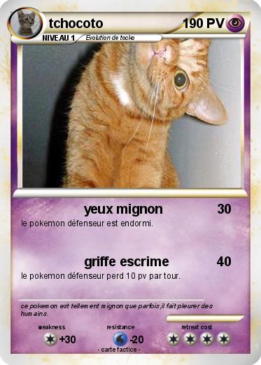 Pokemon tchocoto