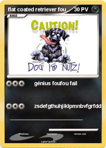Pokemon flat coated retriever fou