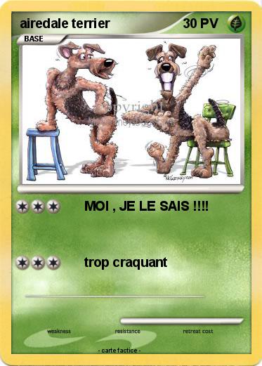 Pokemon airedale terrier