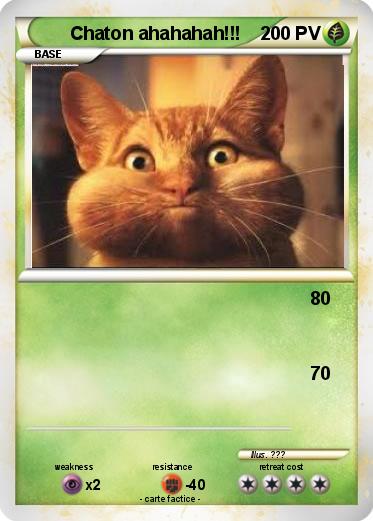Pokemon Chaton ahahahah!!!