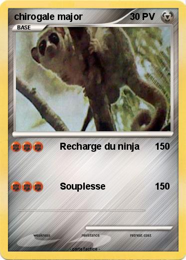 Pokemon chirogale major