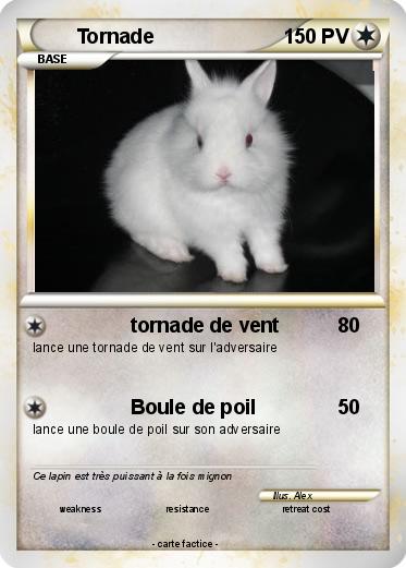 Pokemon Tornade