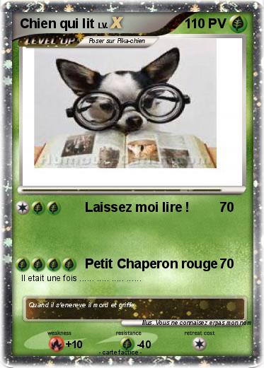 Pokemon Chien qui lit