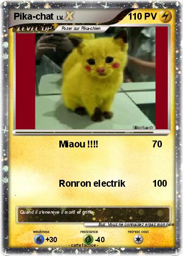 Pokemon Pika-chat