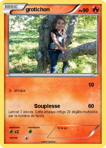 Pokemon grotichon