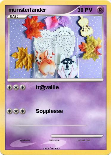 Pokemon munsterlander