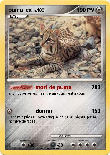 Pokemon puma  ex