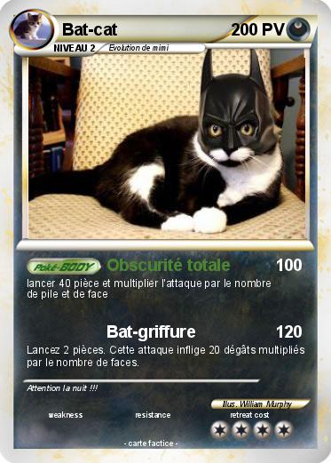 Pokemon Bat-cat