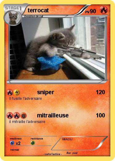 Pokemon terrocat