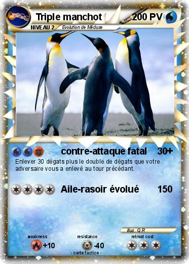Pokemon Triple manchot