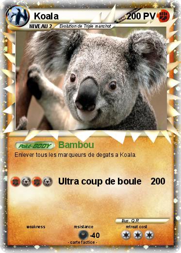 Pokemon Koala