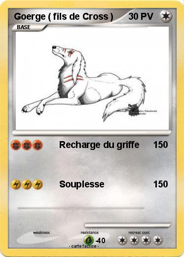 Pokemon Goerge ( fils de Cross )