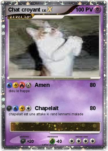 Pokemon Chat croyant