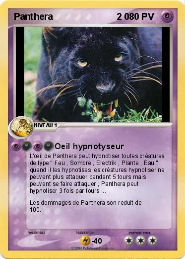 Pokemon Panthera                         2 0