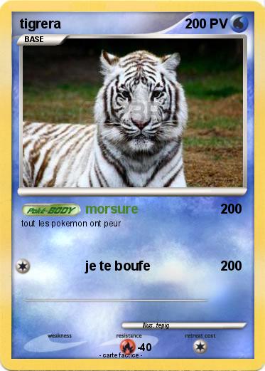 Pokemon tigrera