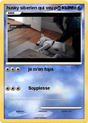 Pokemon husky siberien qui veu p@s s0rtie
