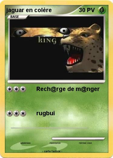 Pokemon jaguar en colère