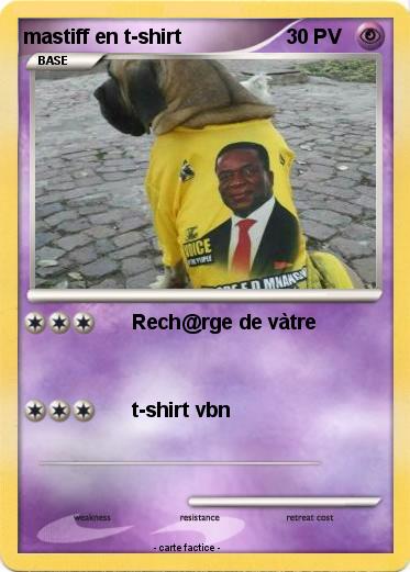 Pokemon mastiff en t-shirt