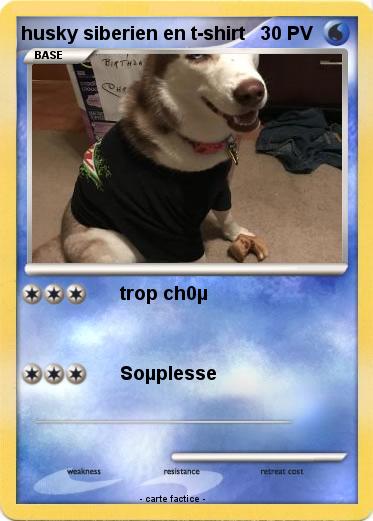 Pokemon husky siberien en t-shirt