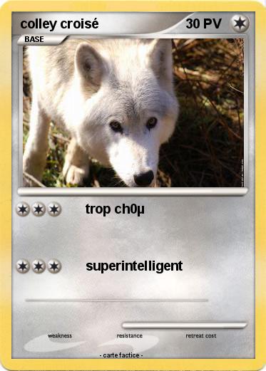 Pokemon colley croisé