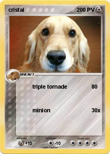 Pokemon cristal