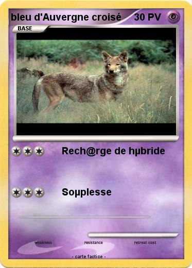 Pokemon bleu d'Auvergne croisé